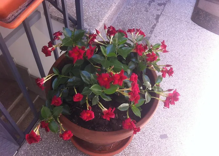 Maison d'hôtes Santa Lucia 50