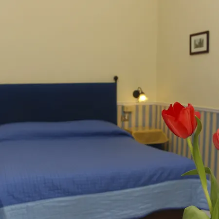 Guest house Santa Lucia 50 Naples